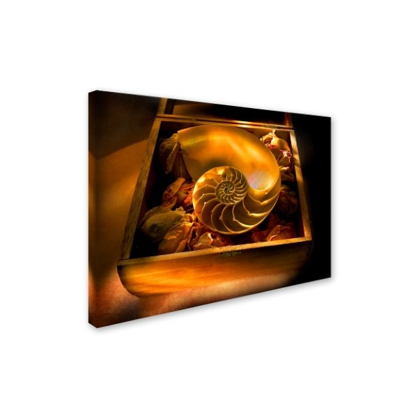 Joe Felzman Photography 'Nautilus Shell In Rose Buds' Canvas Art,18x24